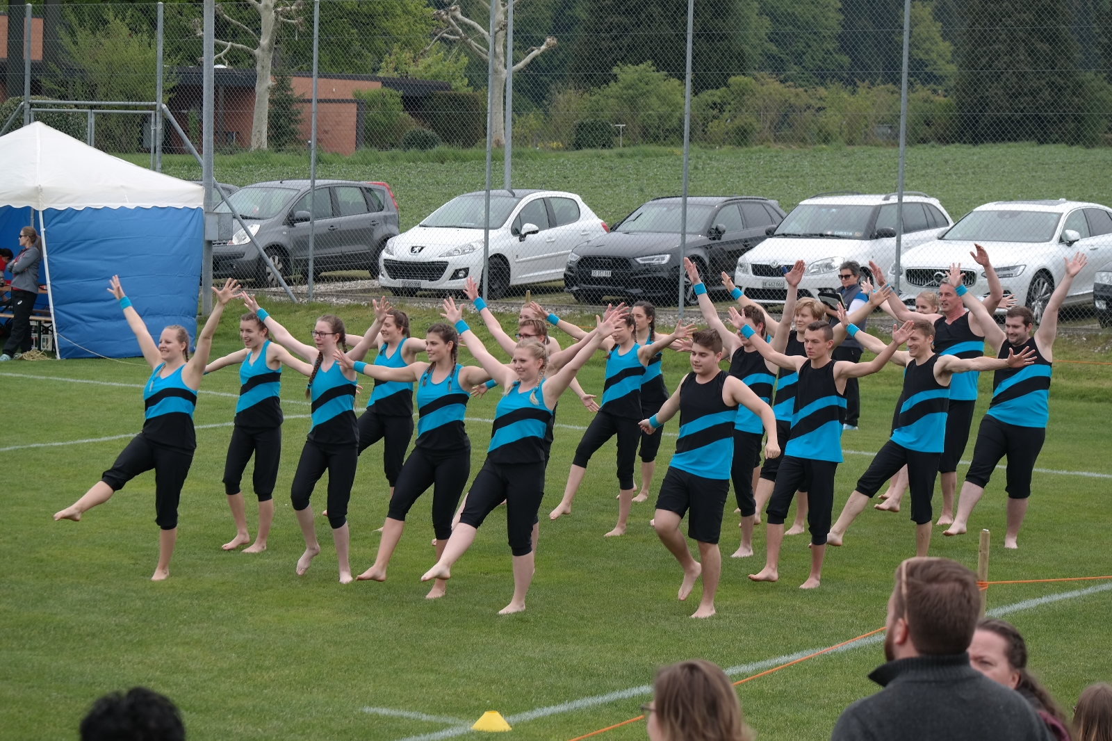 Bild 1 (84)